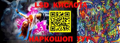 spice Владимир