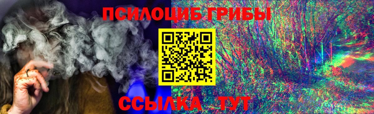 купить закладку  Вход с VPN  Великие Луки  Псилоцибиновые грибы GOLDEN TEACHER 